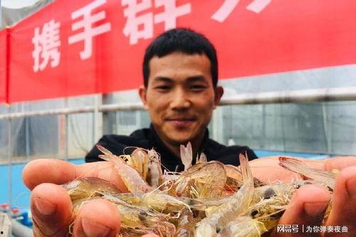 新疆海鲜的真实爆料视频,新鲜美味背后的故事  第3张