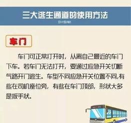 阳江今日爆料最新消息查询,揭秘今日热点事件真相  第3张