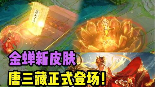 金蝉皮肤爆料最新  第1张 金蝉皮肤爆料最新  第1张