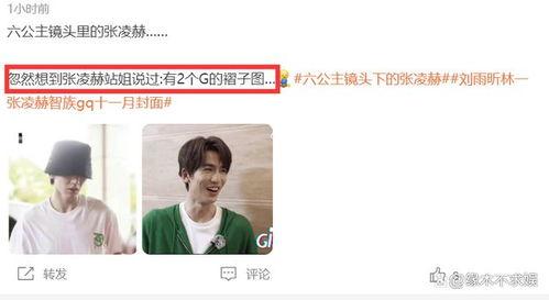 白鹿和张凌赫圈内爆料,揭秘娱乐圈背后的真实故事  第2张 白鹿和张凌赫圈内爆料,揭秘娱乐圈背后的真实故事  第2张